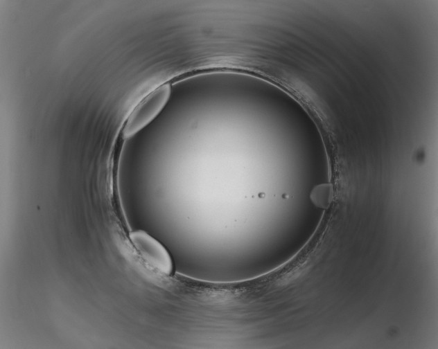 X0000116800892200912181315