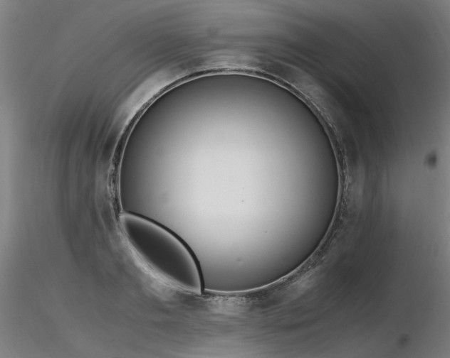 X0000116800893200912181315