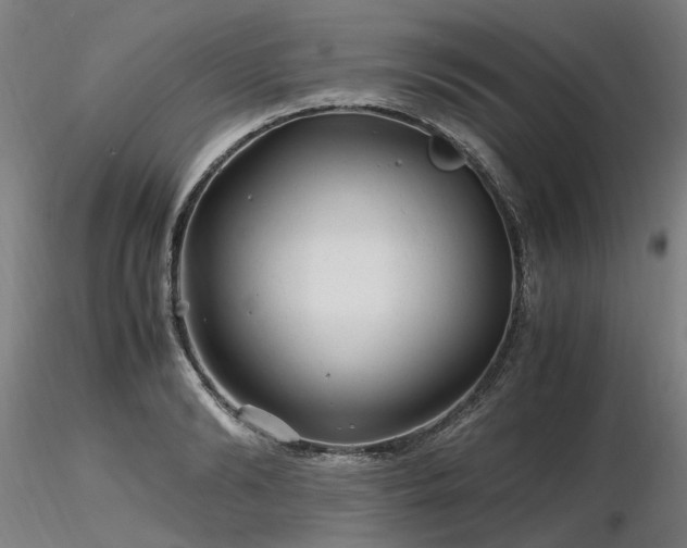 X0000116800894200912181315