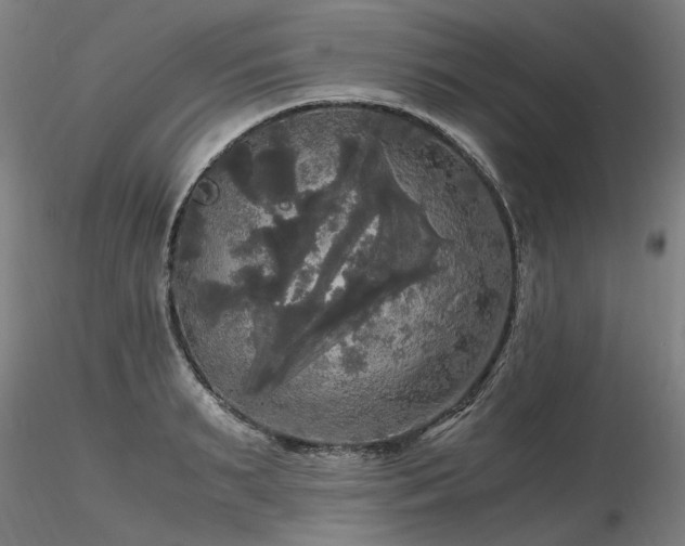 X0000116800895200912181315