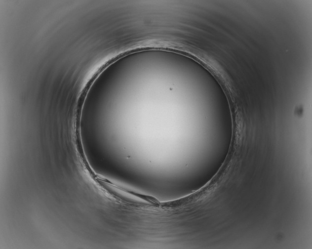 X0000116800896200912181315