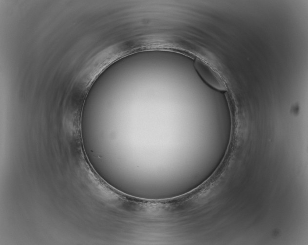 X0000116800897200912181315