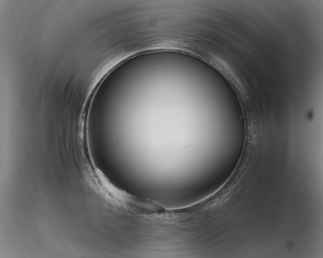 X0000116800900200912181315