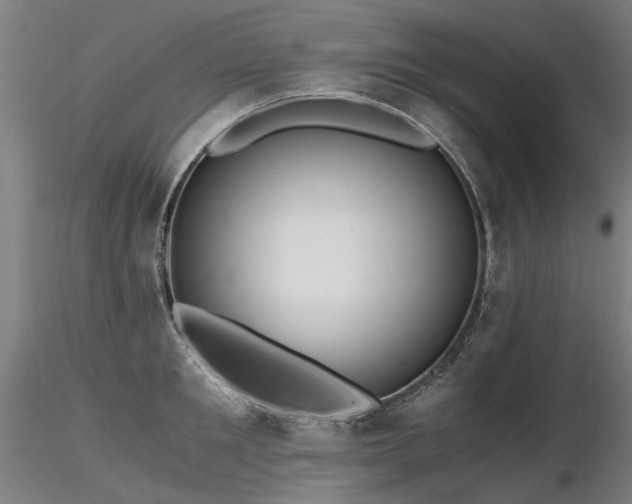 X0000116800901200912181315