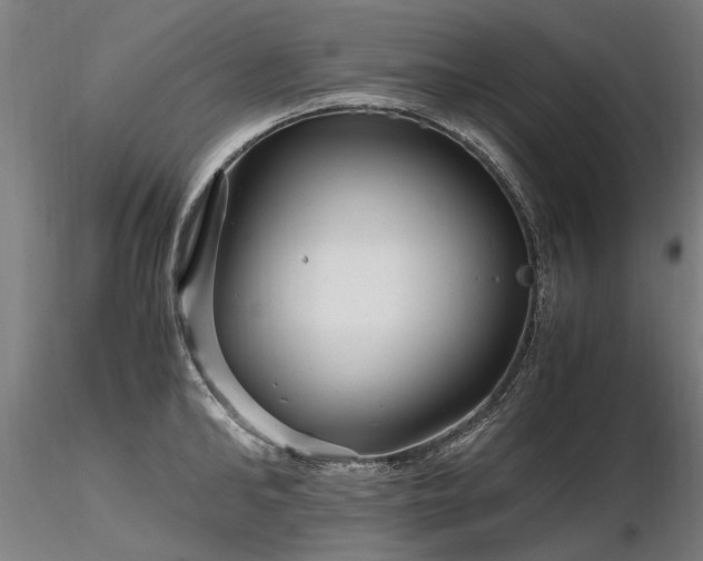X0000116800902200912181315