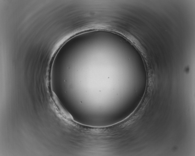 X0000116800904200912181315