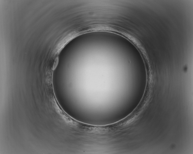 X0000116800905200912181315