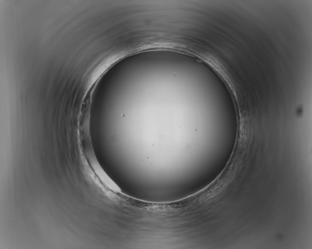 X0000116800906200912181315