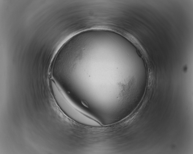 X0000116800908200912181315