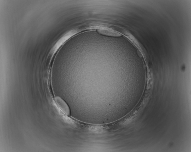 X0000116800909200912181315