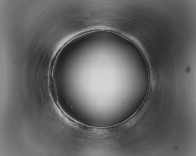 X0000116800910200912181315