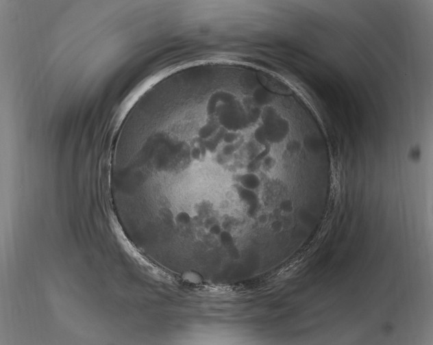 X0000116800911200912181315