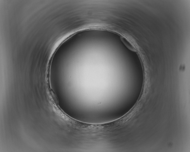 X0000116800912200912181315
