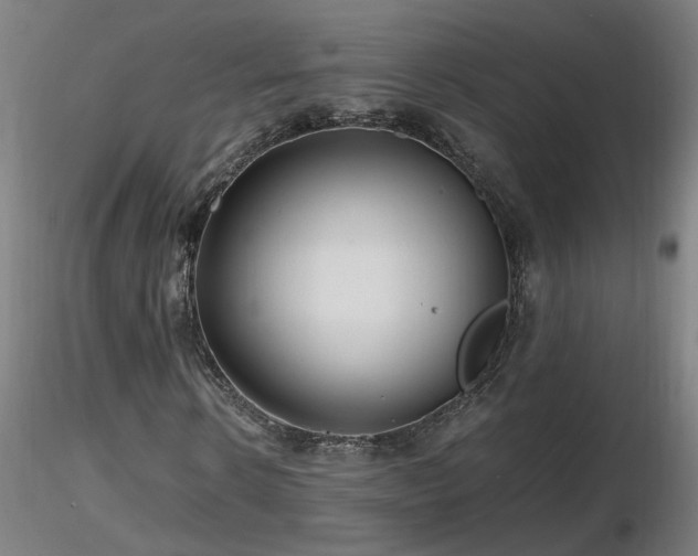 X0000116800914200912181314