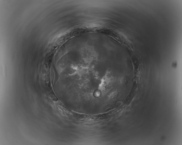 X0000116800917200912181314