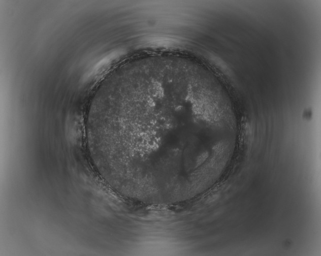 X0000116800918200912181314