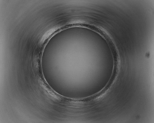 X0000116800921200912181314