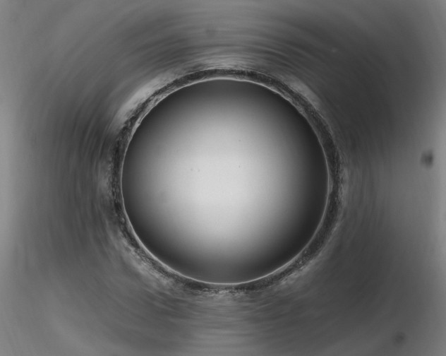 X0000116800922200912181314