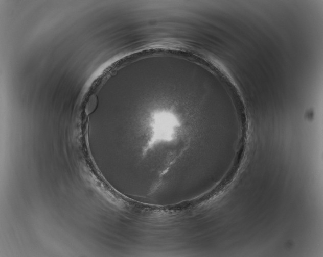 X0000116800923200912181314