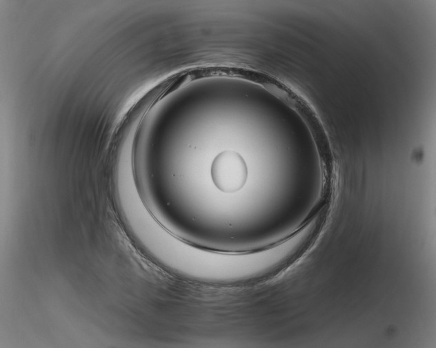 X0000116800925200912181314