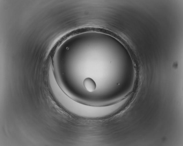 X0000116800926200912181314
