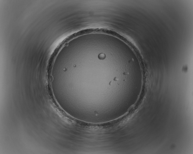 X0000116800927200912181314