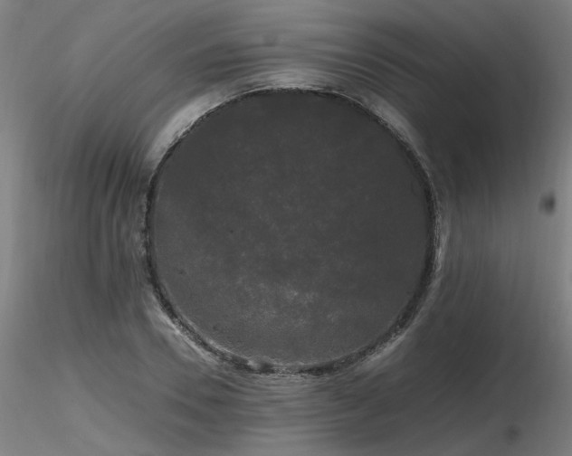 X0000116800930200912181314