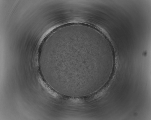 X0000116800931200912181314