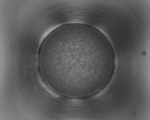 X0000116800933200912181314