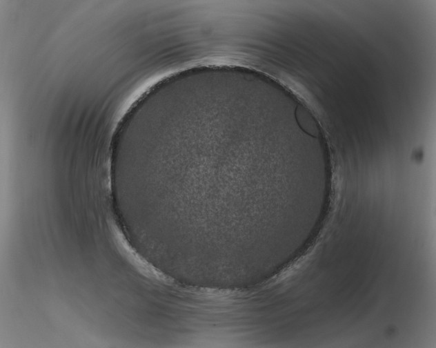 X0000116800934200912181314