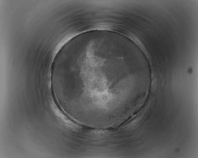 X0000116800939200912181314