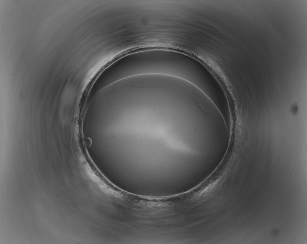 X0000116800941200912181314