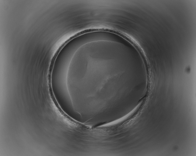 X0000116800943200912181314