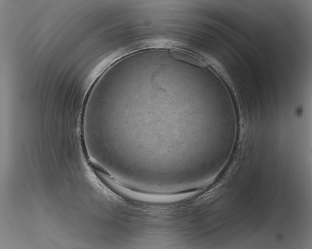 X0000116800946200912181314