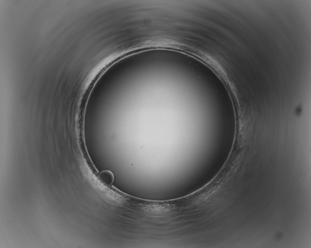X0000116800947200912181314