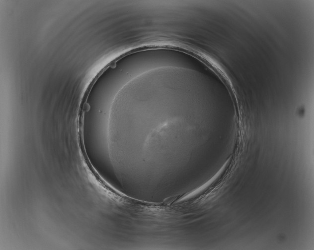 X0000116800951200912181315