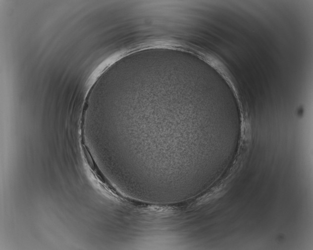 X0000116800954200912181315