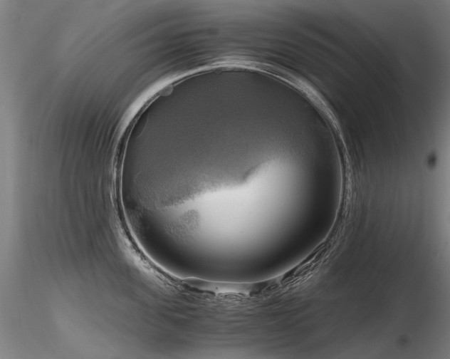 X0000116800955200912181315