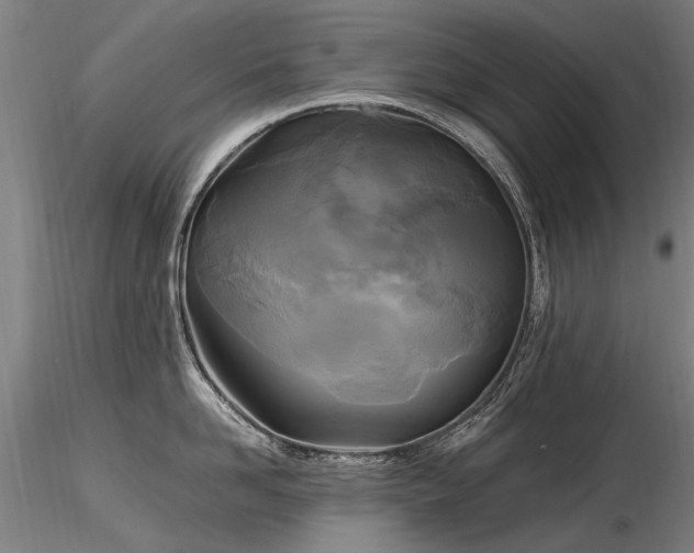 X0000116800958200912181315