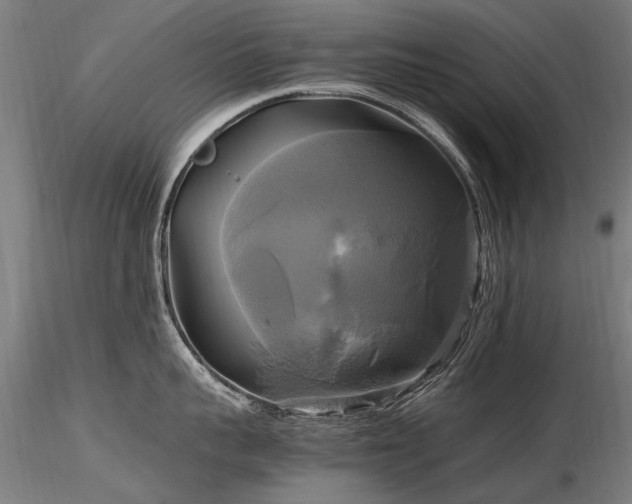 X0000116800959200912181315
