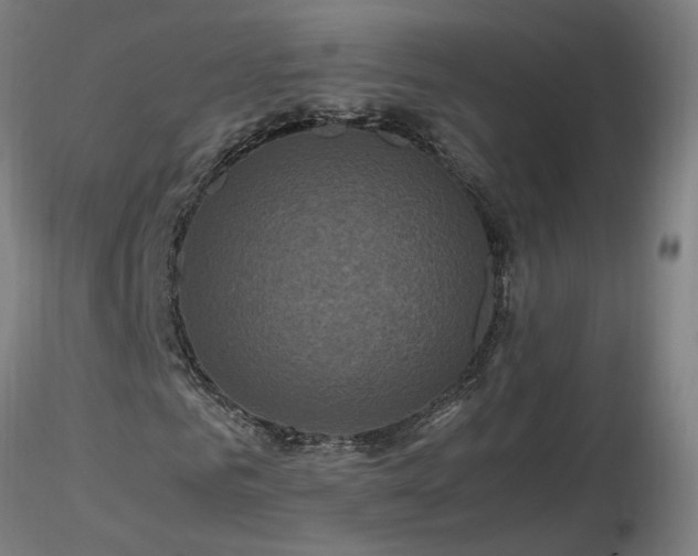 X0000116800961200912181314