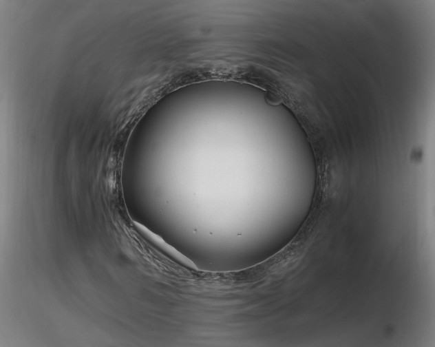 X0000116800962200912181314