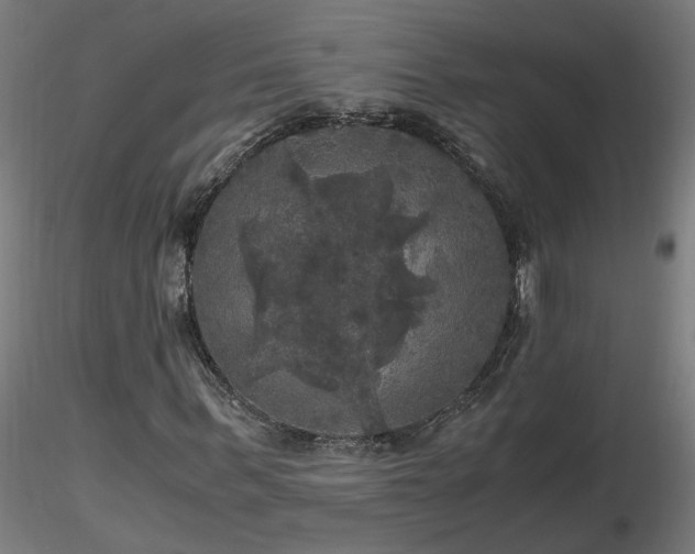 X0000116800963200912181314