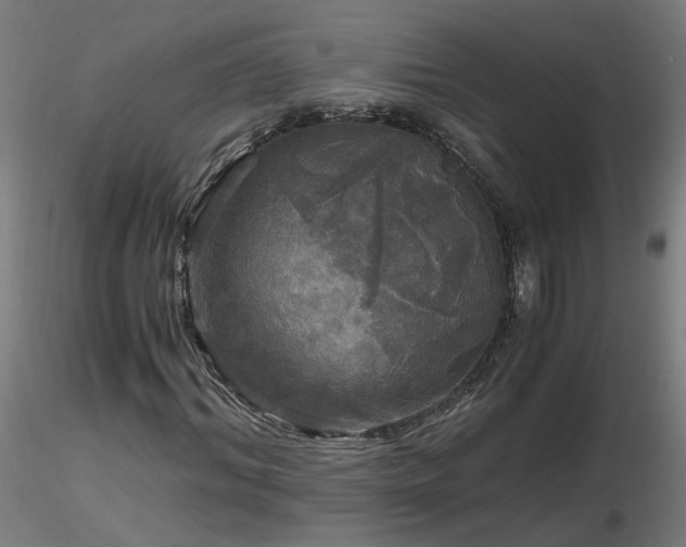 X0000116800964200912181314