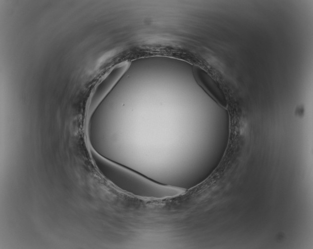 X0000116800965200912181314
