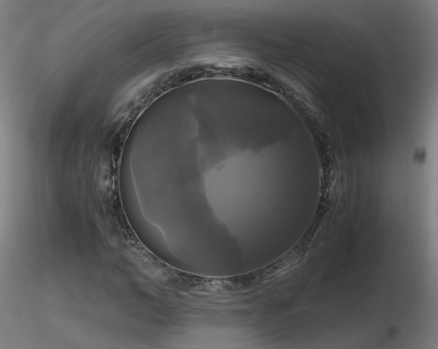 X0000116800966200912181314