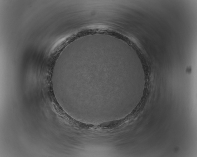 X0000116800967200912181314