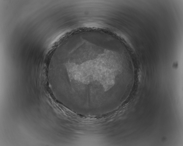 X0000116800968200912181314