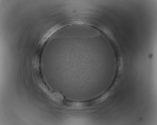 X0000116800969200912181314