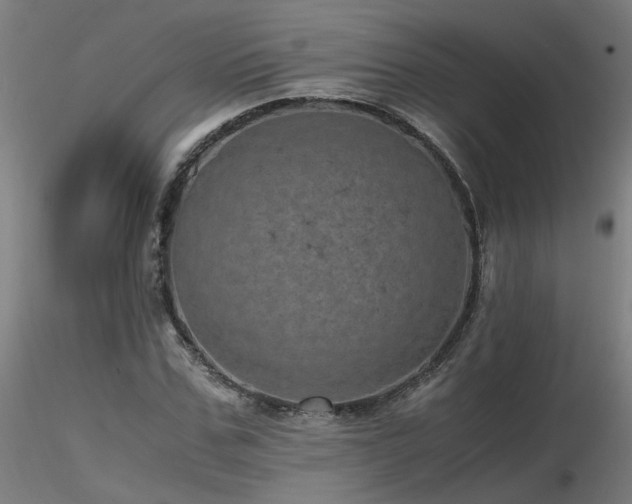 X0000116800971200912181314